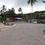 CRISIS ENERGÉTICA: MÁS DE 15 DÍAS SIN LUZ EN ZONA RURAL DE ISTMINA Y MEDIO SAN JUAN