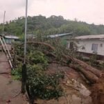 FUERTE VENDAVAL DEJA FAMILIAS DAMNIFICADAS EN BAGADÓ Y ACTIVA ALERTA POR EMERGENCIA RURAL