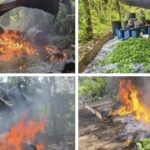 DURO GOLPE AL NARCOTRÁFICO EN CHOCÓ: EJÉRCITO DESTRUYE TRES LABORATORIOS DE COCA