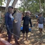 PESCADORES DE ACANDÍ CAPTURAN UN GIGANTESCO MERO EN AGUAS DEL CARIBE CHOCOANO
