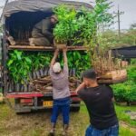 CHOCÓ QUEDÓ POR FUERA: MILLONARIA INVERSIÓN DE LA ARN EN VIVIENDA PARA FIRMANTES DE PAZ NO LLEGÓ AL DEPARTAMENTO