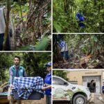 FELINO SILVESTRE FUE REHABILITADO Y DEVUELTO A LOS BOSQUES DEL CHOCÓ